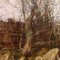 Riccardo Pellegrini, Landscape, Oil on Canvas, Framed, Image 5
