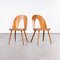 Dining Chairs by Antonin Suman for TON, 1960s, Set of 2 1