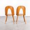 Dining Chairs by Antonin Suman for TON, 1960s, Set of 2 9