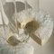 Vase Winter 2 Cochlea of ​​the Awakening Seasons Edition par Coki Barbieri 5