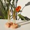 Vase Cochlea of ​​the Awakening Soils Edition Orange par Coki Barbieri 3