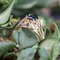 18 Karat FrenchRose Gold Ring, 1960s 10