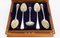 19th Century Boxed Fruit Spoons, Nutcrackers, Grape Scissors from Hukin & Heath, Set of 10 4