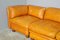 Modular Frau Sofa in Leather, 1970, Set of 5 9