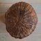 Large Handcrafted Wooden Mushroom, 1960s, Image 7