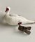 Vintage Glass Bird Christmas Tree Clip-on Ornament, 1950s, Image 4