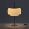 Vintage Table Lamp by Josef Hurka for Napako, 1960s 2