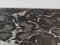 Consolle in faggio ebanizzato con ripiano in marmo Portoro, Italia, anni '50, Immagine 11