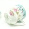 Hand-Painted Porcelain Cup from Department Tielsch, Germany, 1890s, Set of 2, Image 7