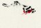 Dibujo de tinta china y acrílico de Parimah Avani, porque estás muerto, 2022, Imagen 3
