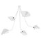 Modern White Five Curved Fixed Arms Spider Ceiling Lamp by Serge Mouille 1