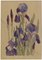 JSC Alexander, lila Iris Blumen, 1920er, Aquarell 2