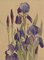 J.S.C. Alexander, Purple Iris Flowers, 1920s, Watercolour Painting, Image 1