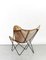 Armchair by Jorge Ferrari-Hardoy for Knoll Inc. / Knoll International, 1950s 11