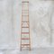 Wood and Brass Bookcase Ladder, 1950s 1