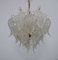 Chandelier with Murano Glass Leaves from Mazzega, 1970s 5