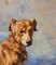 Josep Serrasanta, Hund, 1960er, Öl auf Leinwand, Gerahmt 25