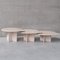 Tables Basses Gigognes Mid-Century en Travertin, Set de 3 7