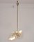 Lámpara de suspensión atribuible a Pietro Chiesa, Italia, años 50, Imagen 5