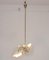 Suspension Lamp attributable to Pietro Chiesa, Italy, 1950s 5