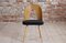 Dining Chairs by Antonin Šuman, 1960s, Set of 8 12