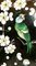 Grande Lampe en Porcelaine avec Motif Fleurs, Oiseaux et Cerisier du Japon, 19ème Siècle 6