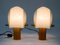 Minimalistic Oak Table Lamps with Lunopal Shades from Domus, 1980s, Set of 2 5