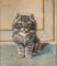 Painting of Cat by Burkhard Katzen-Flury 4
