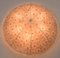 Ceiling Light from Seguso, Italy, 1960s 3