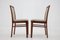 Beech Dining Chairs, Czechoslovakia, 1950s, Set of 4 5