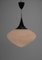 Lámpara colgante atribuida a Kamenicky Senov, años 60, Imagen 3