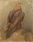 Allan Andersson, Golden Eagle, mediados del siglo XX, óleo sobre lienzo, Imagen 1