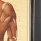 Anatomical Human Muscular Structure Charts by Tanck & Wagelin, 1950, Set of 2 30