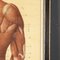 Anatomische Anatomie der menschlichen Muskulatur von Tanck & Wagelin, 1950, 2er Set 30