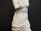 Academicist Style Venus De Milo Statue in Plaster, 20th Century 5