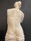 Academicist Style Venus De Milo Statue in Plaster, 20th Century 23