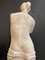 Akademiker-Stil Venus De Milo Statue aus Gips, 20. Jh 23