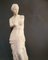 Academicist Style Venus De Milo Statue in Plaster, 20th Century 19