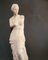 Akademiker-Stil Venus De Milo Statue aus Gips, 20. Jh 19