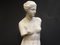 Akademiker-Stil Venus De Milo Statue aus Gips, 20. Jh 4