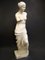 Academicist Style Venus De Milo Statue in Plaster, 20th Century 9