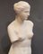 Academicist Style Venus De Milo Statue in Plaster, 20th Century 15