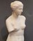 Akademiker-Stil Venus De Milo Statue aus Gips, 20. Jh 15