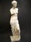 Akademiker-Stil Venus De Milo Statue aus Gips, 20. Jh 8