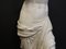Academicist Style Venus De Milo Statue in Plaster, 20th Century 7