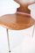 Sedia nr. 3100 in teak di Arne Jacobsen per Fritz Hansen, 1950, Immagine 6
