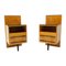 Mid-Century Modern Nightstands attributed to Mojmir Fire, Czechoslovakia, 1960s, Set of 2 1