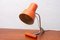 Mid-Century Adjustable Desk Lamp attributed to Josef Hurka for Napako, Czechoslovakia, 1960s 2