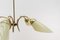 Mid-Century Modern Sputnik Ceiling Lamp in Glass and Brass, 1950s, Image 7