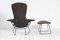 Sedia Bird e poggiapiedi di Harry Bertoia per Knoll International, set di 2, Immagine 3